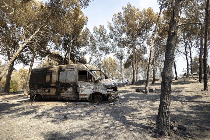 Zones calcinades per l'incendi de la Vall d'Uixó. 