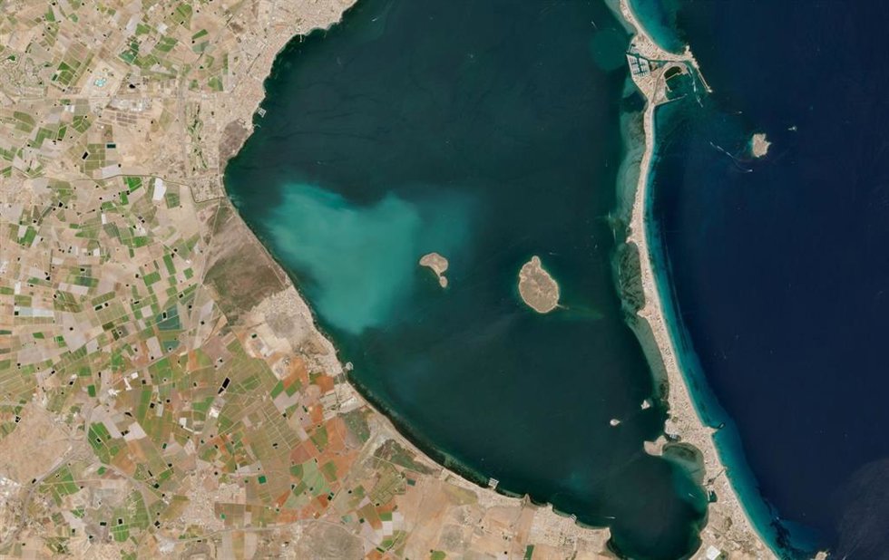 Un estudio vincula la desaparición de la vegetación submarina en el Mar Menor con la 'mancha blanca'