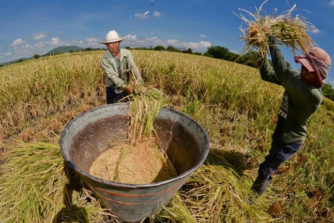 Archivo - Perú.- Midagri prevé shock de infraestructura en próximos 5 años que favorecerá agro famililiar