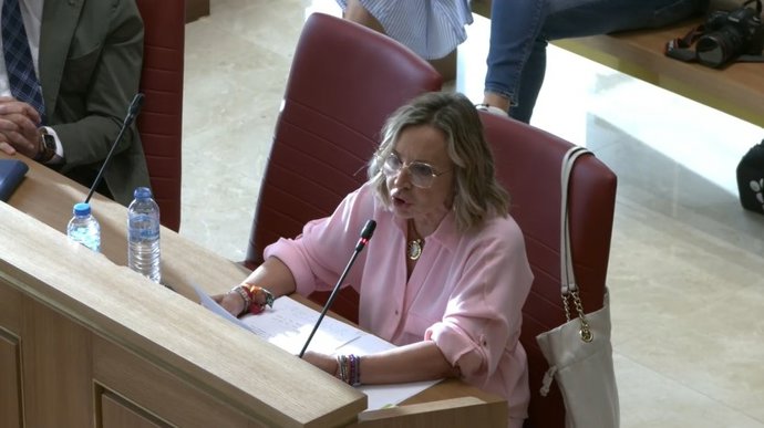 La concejal de Vox en el Ayuntamiento de León, Blanca María Herreros, durante su intervención en el pleno de este viernes.