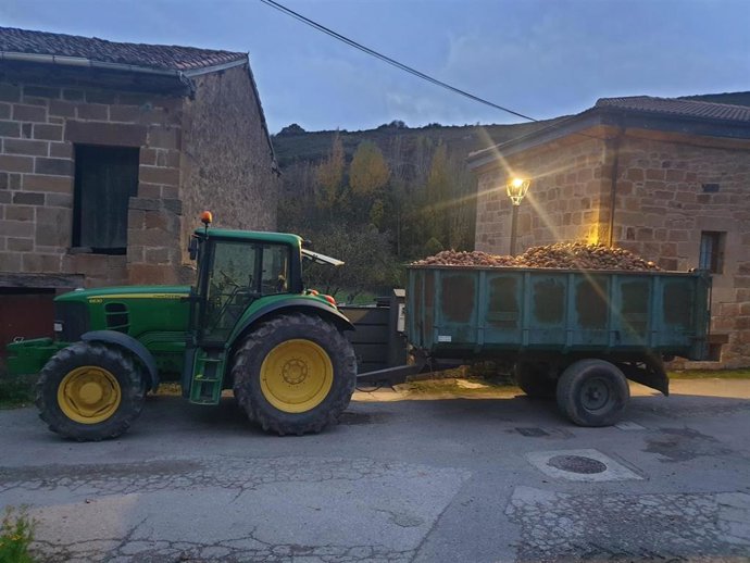 Archivo - Tractor con patatas en Valderredible