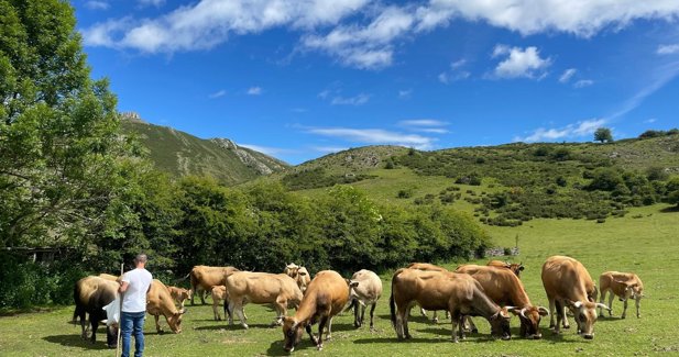 Asturias Rural