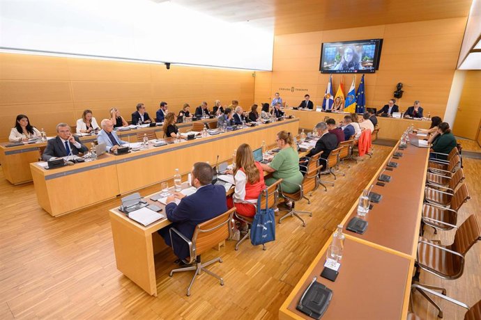 Archivo - Pleno del Cabildo de Tenerife