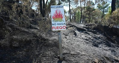 Economía Finanzas