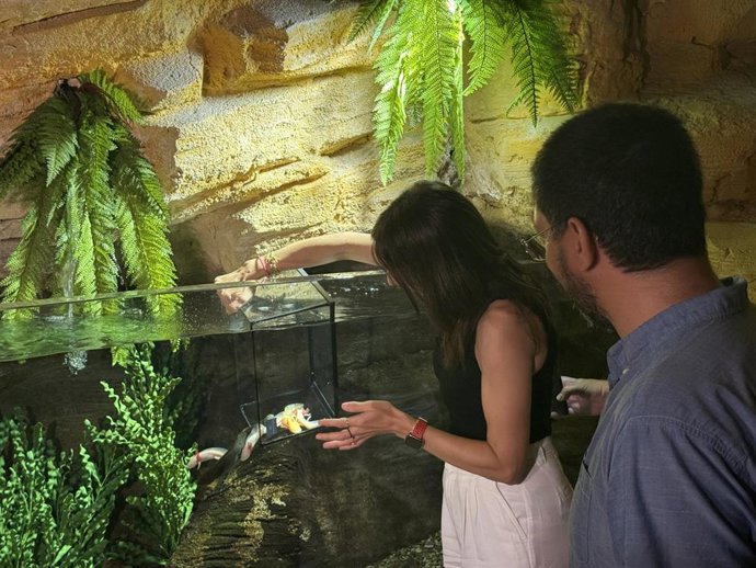 El ajolote se convierte en el gran embajador de un espacio que visibiliza la fauna autóctona y los proyectos de conservación que desarrolla el Acuario de Zaragoza