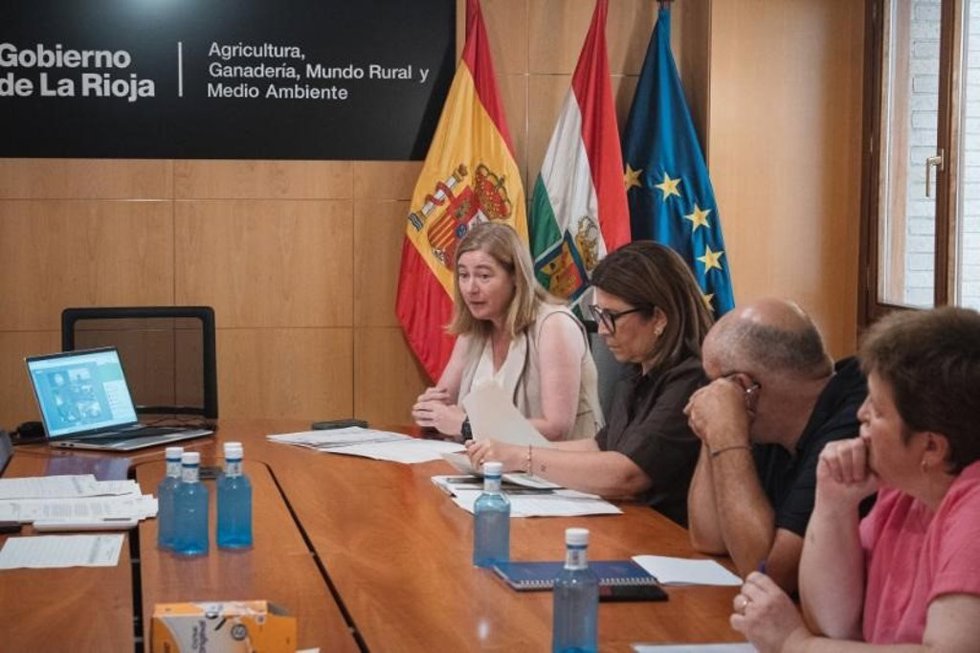Agricultura eleva hasta el 65% la ayuda para la contratación del seguro de uva de vinificación