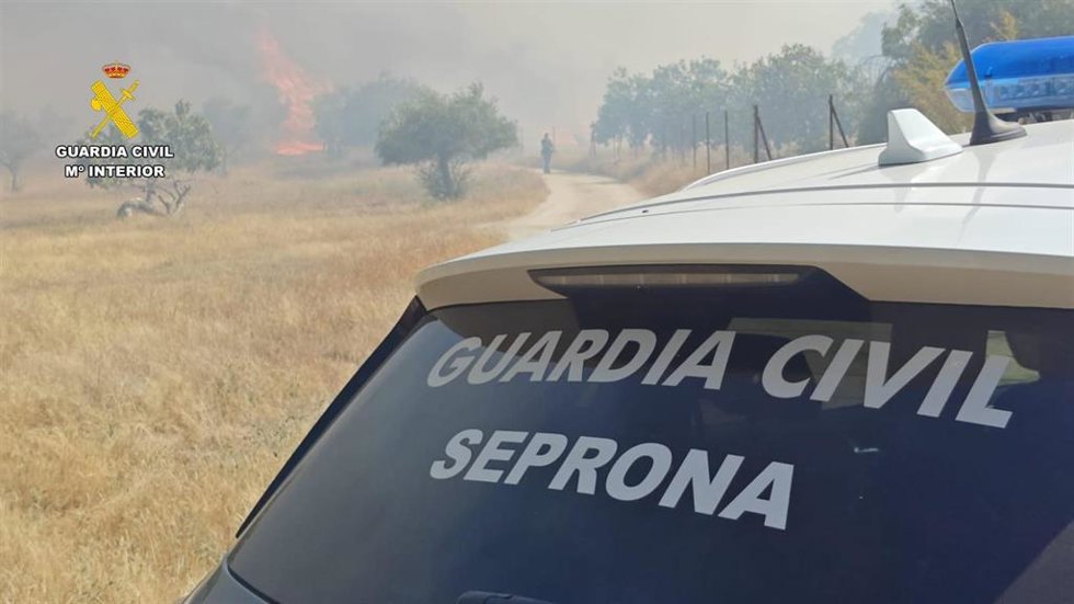 Incendio forestal en Mesas de Ibor