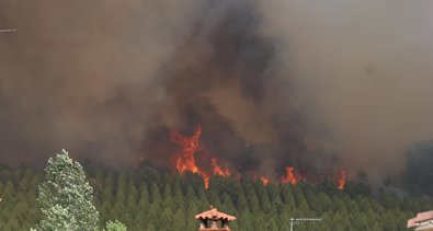 Medio Ambiente