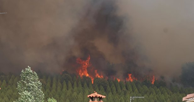 Medio Ambiente