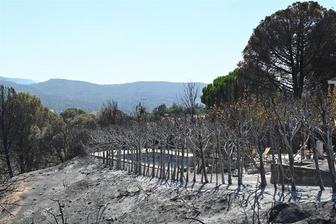 Zonas calcinadas tras el paso del incendio de la Sierra Oeste de Madrid, a 30 de julio de 2026, en Pelayos de la Presa, Madrid (España)