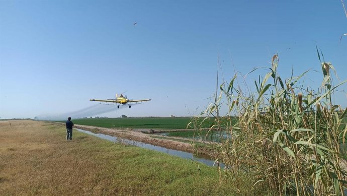 Un equipo aéreo lleva a cabo tareas de control y prevención contra el mosquito del Virus del Nilo Occidental en la provincia de Sevilla, en una imagen de archivo.