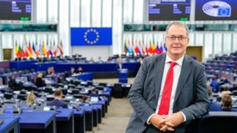 Eurodiputado del Partido Popular, Nicolás Pascual de la Parte