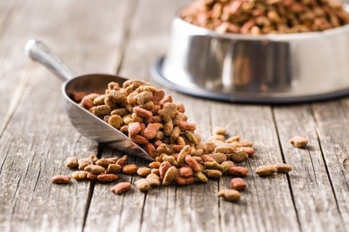 Alimentos veganos para perros y gatos