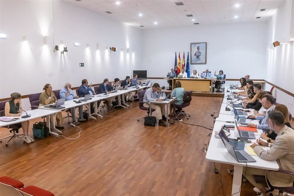 El pleno del Ayuntamiento de Guadalajara aprueba inicialmente su nueva Ordenanza de Convivencia.