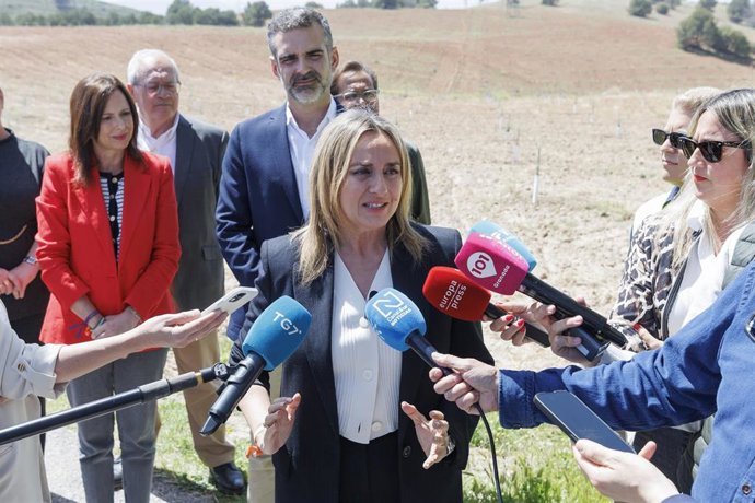 Archivo - La alcaldesa de Granada, Marifrán Carazo, atiende a los medios. Archivo.