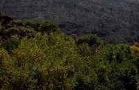 Bomberos trabajan en la extinción de una reproducción del incendio en la zona del Embalse de San Juan