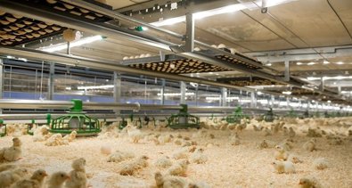 Castilla y León