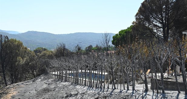 Medio Ambiente