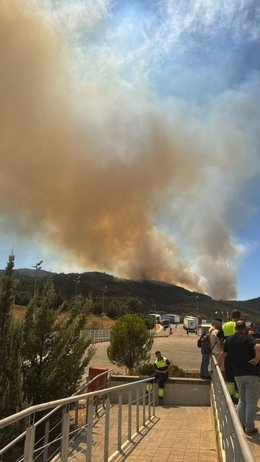 Incendio forestal en Herrera del Duque