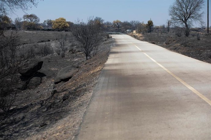 Tierra quemada por un incendio forestal, a 31 de julio de 2026, en Fornillos de Fermoselle, Zamora, Castilla y León (España)