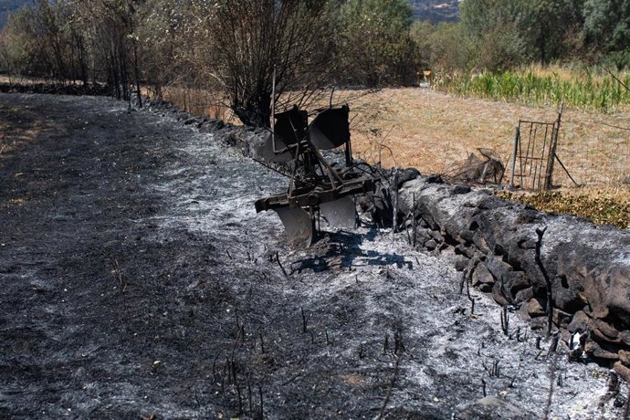 Tierra quemada por un incendio forestal, a 31 de julio de 2026, en Fornillos de Fermoselle, Zamora, Castilla y León (España)