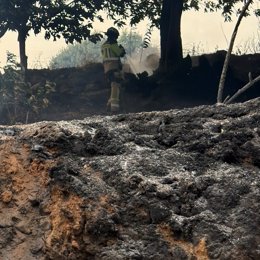 Imagen del incendio de Veguellina, en León.