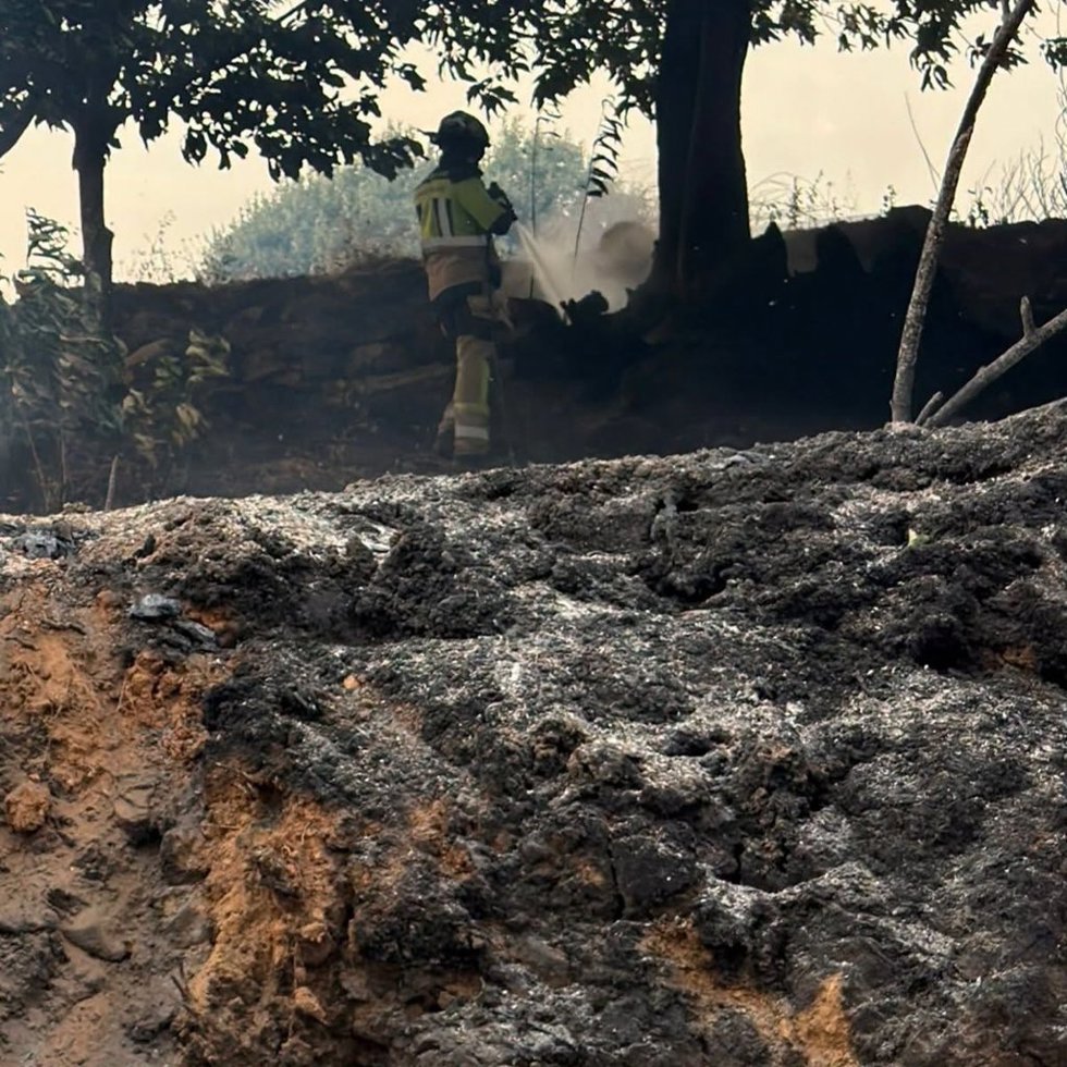 Imagen del incendio de Veguellina, en León.