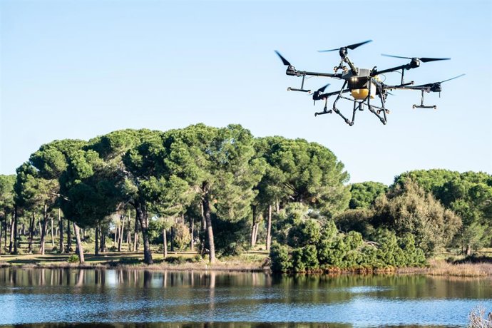 Archivo - Laguna de San Lázaro (Villamanrique de la Condesa,Sevilla) donde ha tenido lugar la ejecución de tratamiento anti mosquito a través de dron.