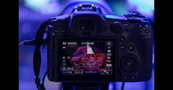 Fotografiar corales para salvar los océanos: el papel de la tecnología en su reproducción