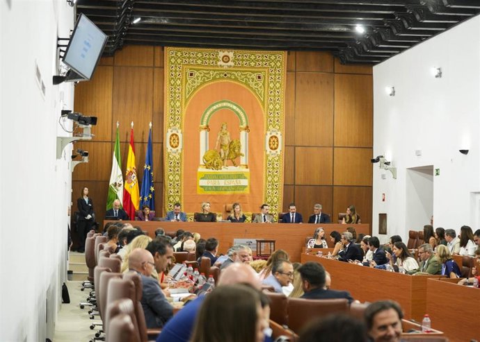 Sesión en el Pleno del Parlamento andaluz. (Foto de archivo).