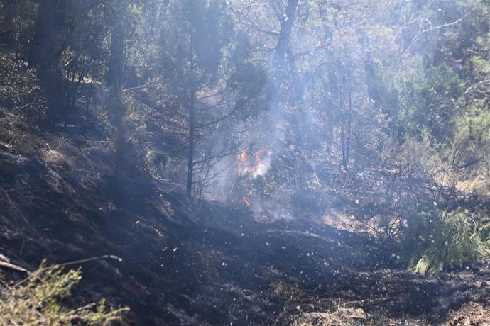 Llamas en el incendio de Leciñena.
