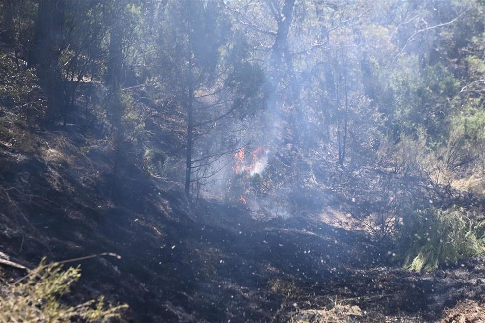 Llamas en el incendio de Leciñena.