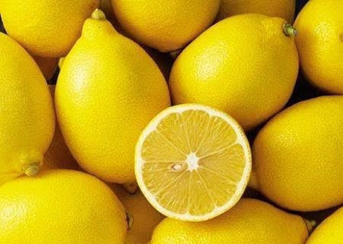 ASAJA Murcia prevé una caída del 30% en la cosecha de limón  fino  y anticipa un escenario favorable para los precios