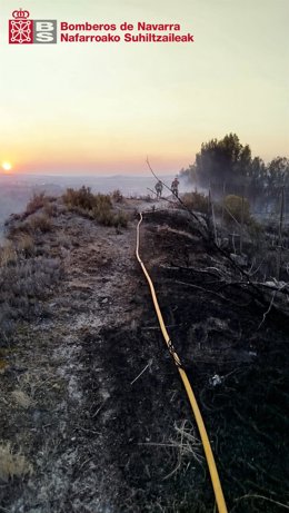 Labores de extinción del incendio forestal de Caparroso.