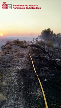 Labores de extinción del incendio forestal de Caparroso.