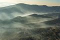 Greenpeace documenta desde el aire las zonas quemadas por los incendios