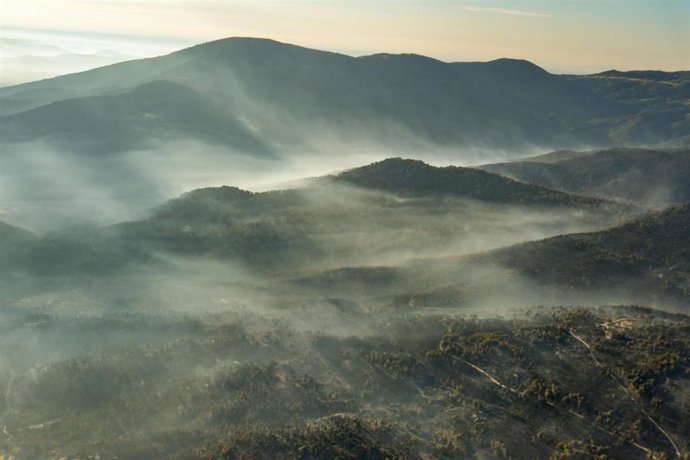 El Tiemblo, Avila. Incendio de Burgohondo. Greenpeace ha documentado, con im genes exclusivas desde el aire, las zonas quemadas por los incendios en Toledo, Madrid, çvila, Segovia y Guadalajara