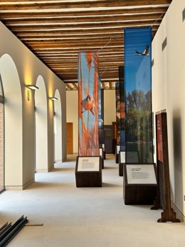 Alfaro culmina la segunda fase de las obras de Rehabilitación del Convento de la Inmaculada Concepción e inicia la tercera