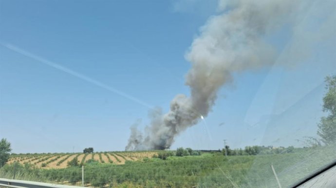 Imagem do incêndio que se alastrou em Villalba del Alcor (Huelva).