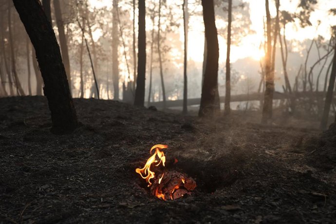 Una llama en el incendio forestal a las afueras de Casavieja, a 29 de julio de 2026, en Ávila, Castilla y León (España)