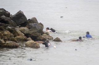 Decenas de personas siguen intentando cruzar la frontera, a 31 de julio de 2026, en Ceuta (España).  La ciudad autónoma de Ceuta ha amanecido con numerosas personas que seguían entrando desde Marruecos a primera hora de esta mañana después de una