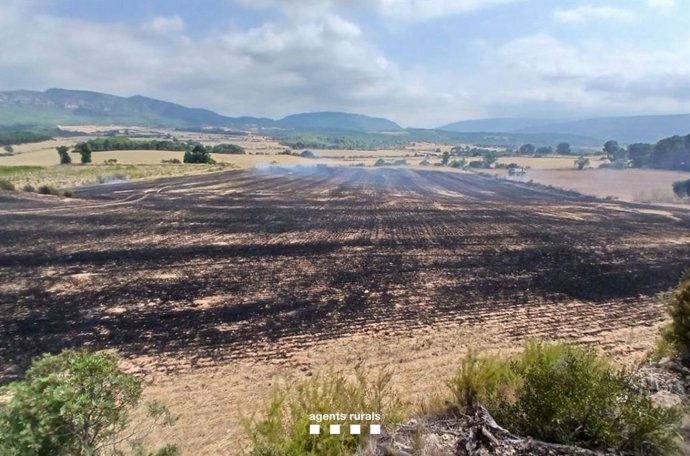Imagen del incendio