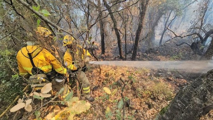 Brigadas forestales del Plan Infomur trabajan en la extinción del incendio de Vall d'Uxió