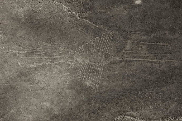 Archivo - Líneas de Nazca en Perú 