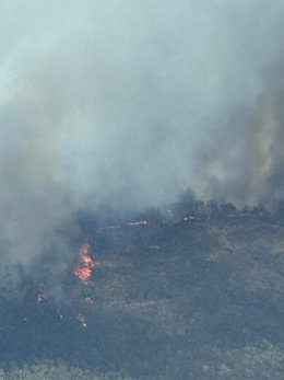 Incendios.- Activada la situación Operativa 1 del Plan Infocaex por el incendio forestal de Casas de Millán 