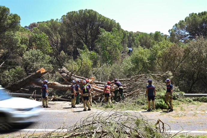 Zonas calcinadas tras el paso del incendio de la Sierra Oeste de Madrid, a 30 de julio de 2026, en Pelayos de la Presa, Madrid (España). La Comunidad de Madrid ha recuperado el control del operativo contra el incendio forestal de la Sierra Oeste, que ya n