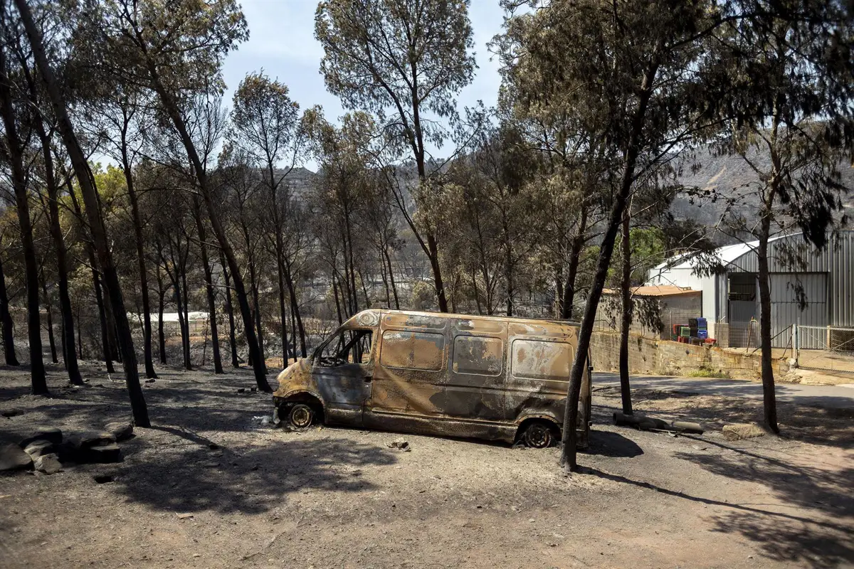 Zonas calcinadas por el incendio de la Vall d’Uixó.