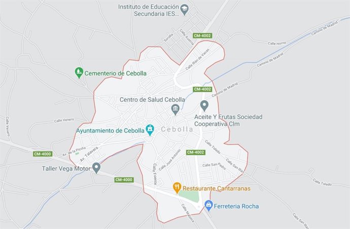 Archivo - Cebolla