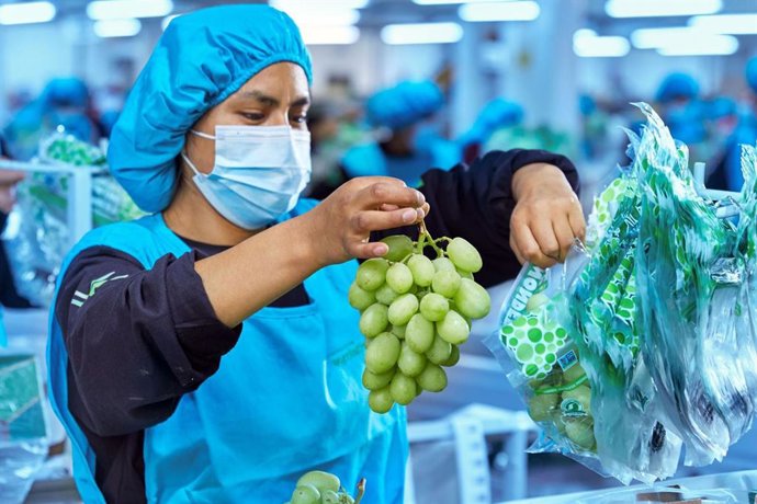 Archivo - Perú.- Confiep: Perú tiene potencial para superar los US$ 30,000 millones en agroexportaciones