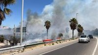 Un incendio en Estepona (Málaga) provoca el alejamiento preventivo de 70 personas y un corte de carril en la A-7